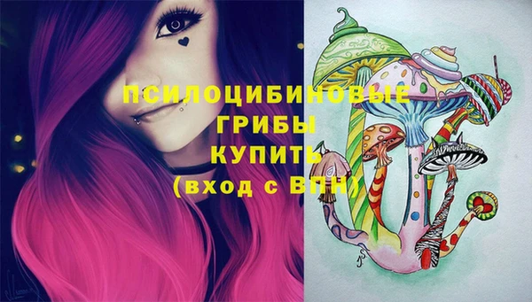 мдпв Бугульма